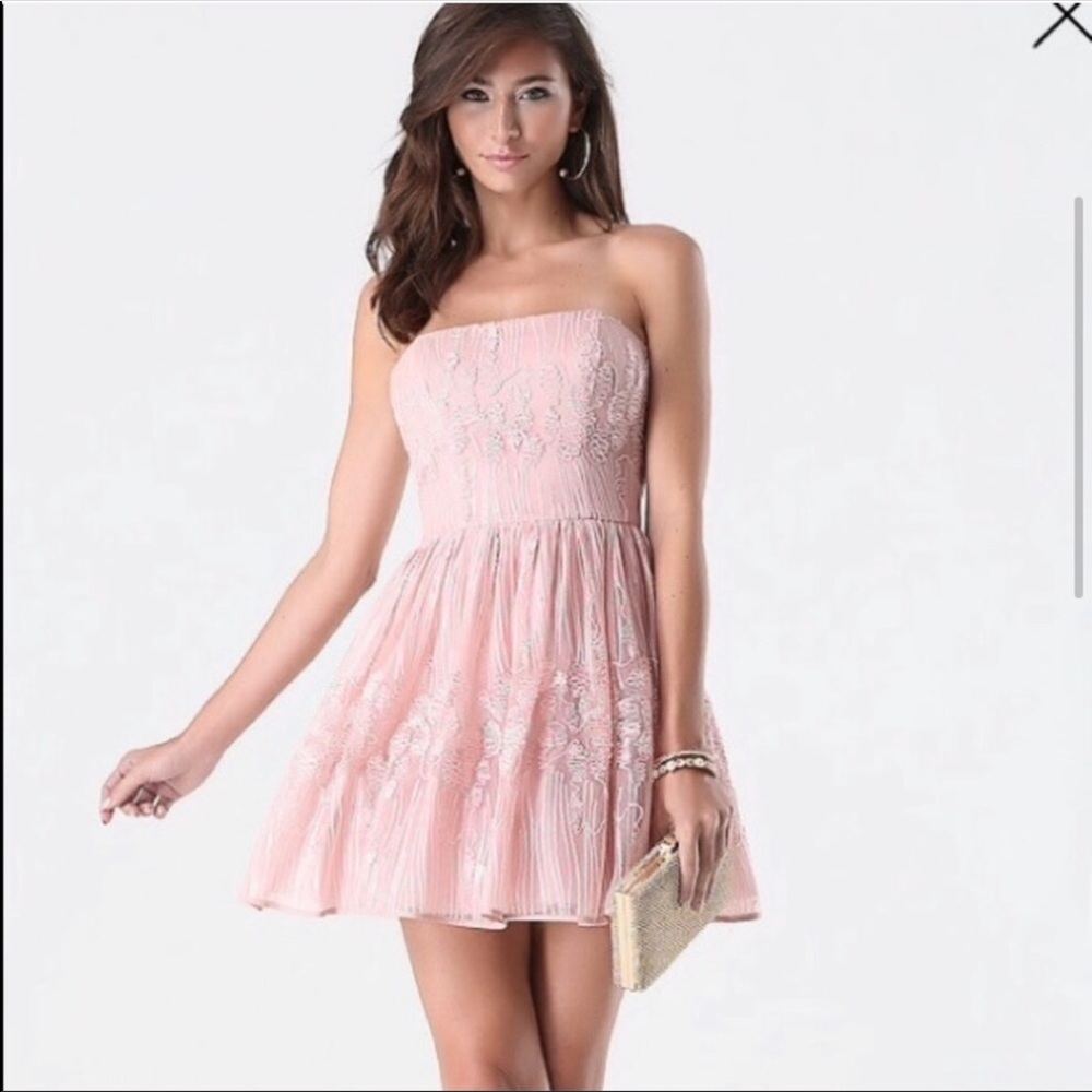 ⭐️NWT⭐️ Bebe GORGEOUS pale pink Fit & Flare